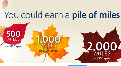 Up to 2,000 Bonus Miles On The AAdvantage Shopping Portal