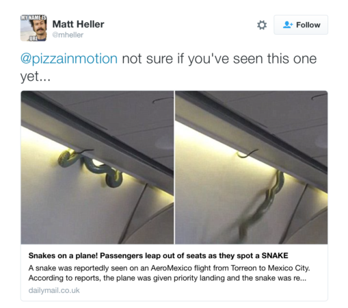 Snake On A Plane