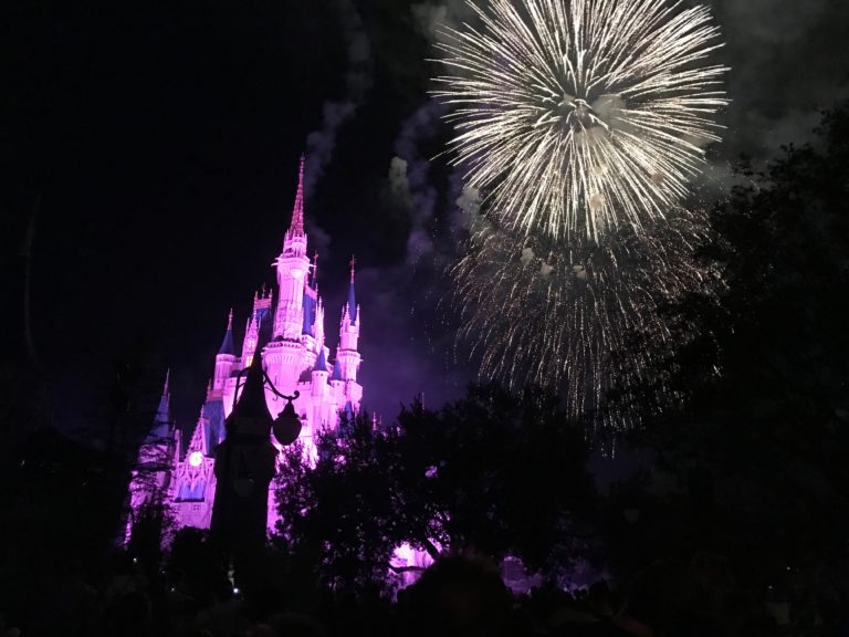 How Much Would You Pay For VIP Viewing Of Fireworks And Parade At Disney World?
