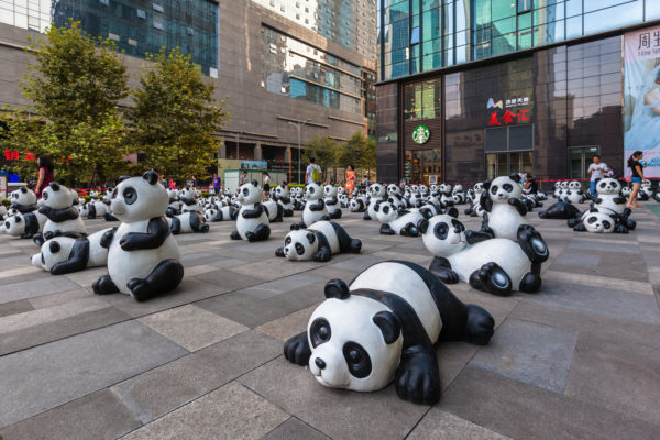 a group of panda statues