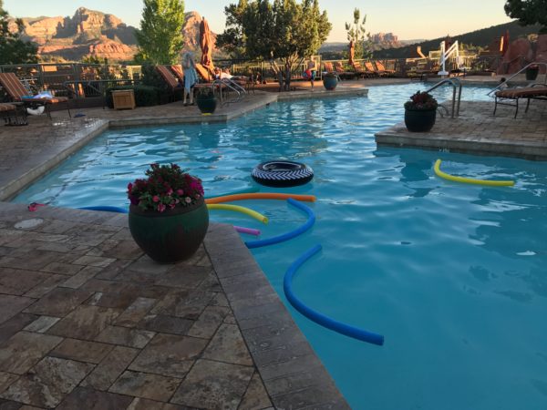pool with pool noodles and flowers in it