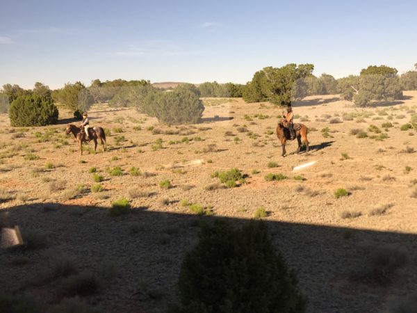 people riding horses in a desert