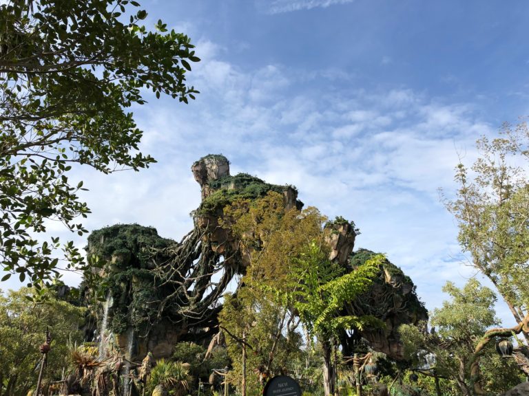 Want To Ride Disney World’s Avatar Flight of Passage Without Waiting In Line?  It’ll Cost You