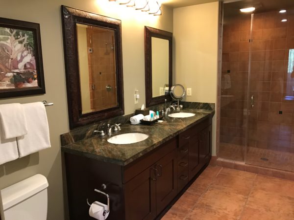a bathroom with a shower and double sinks