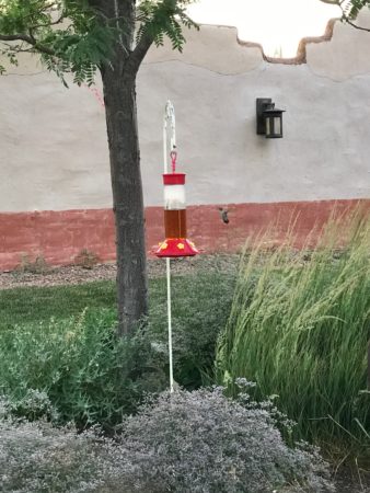 a bird feeder in a garden