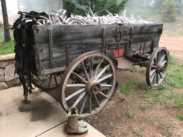 a wooden wagon with a bunch of bones
