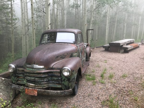 an old rusty truck parked in a forest