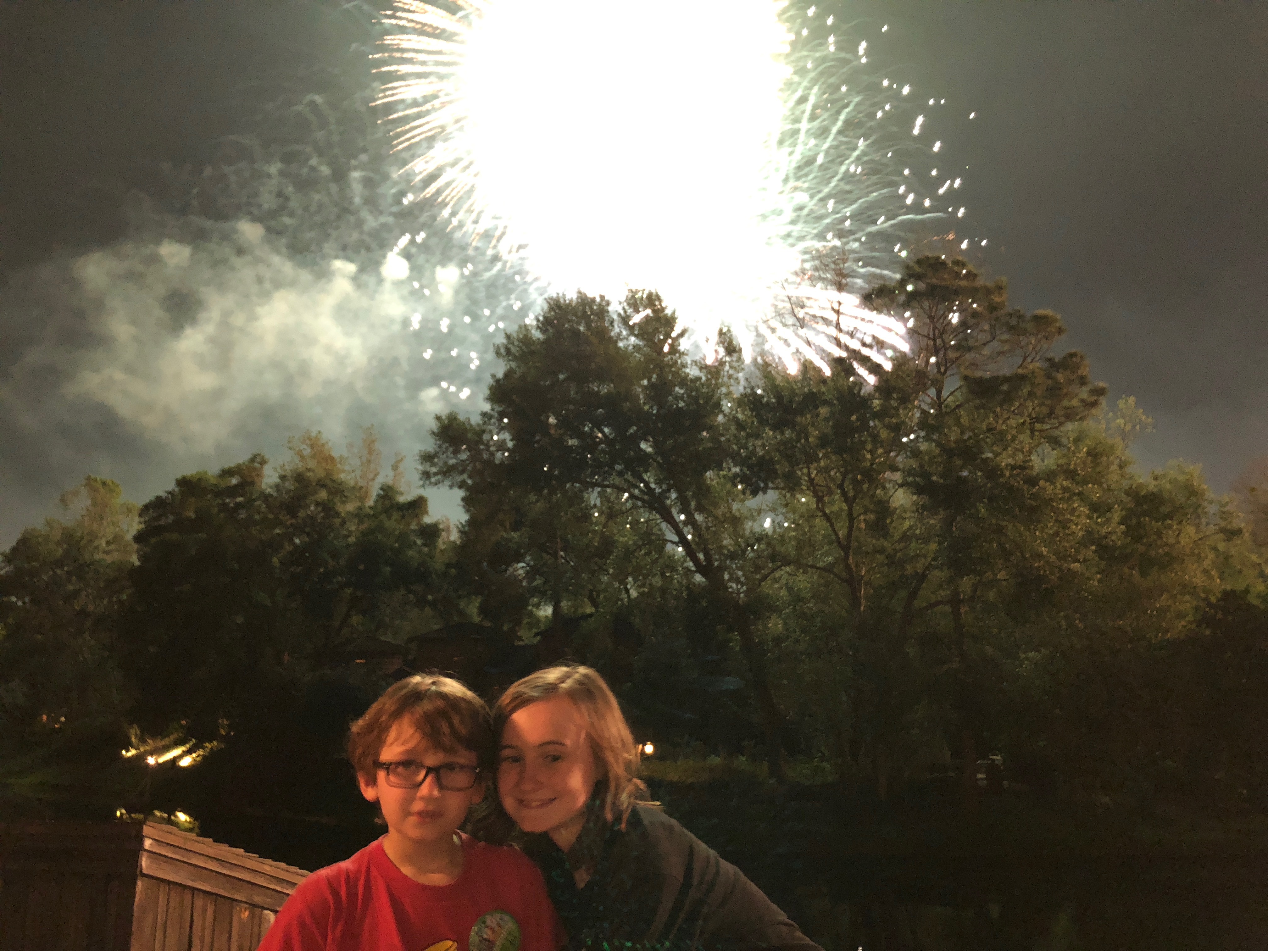 a couple of people posing for a picture with fireworks in the background
