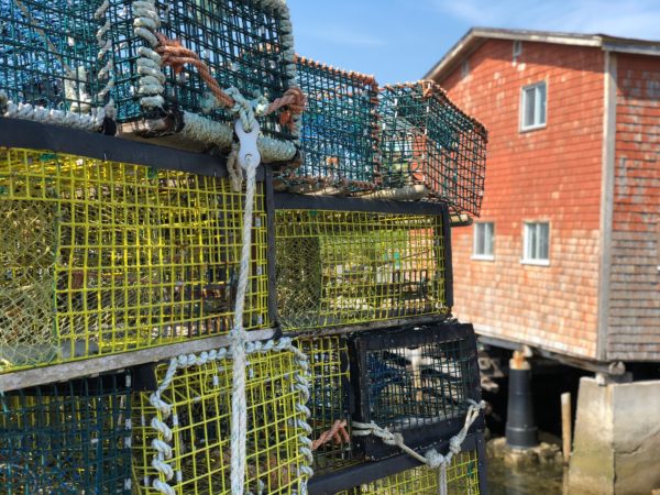 a stack of lobster traps