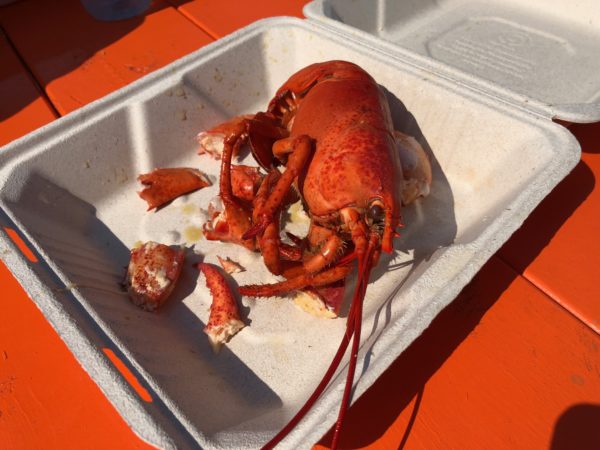 a lobster in a styrofoam container