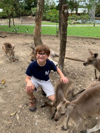 a boy sitting on a dirt ground with kangaroos