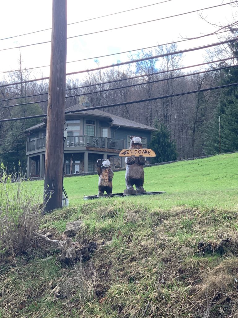 a wooden bear statues in a grassy area with a house in the background