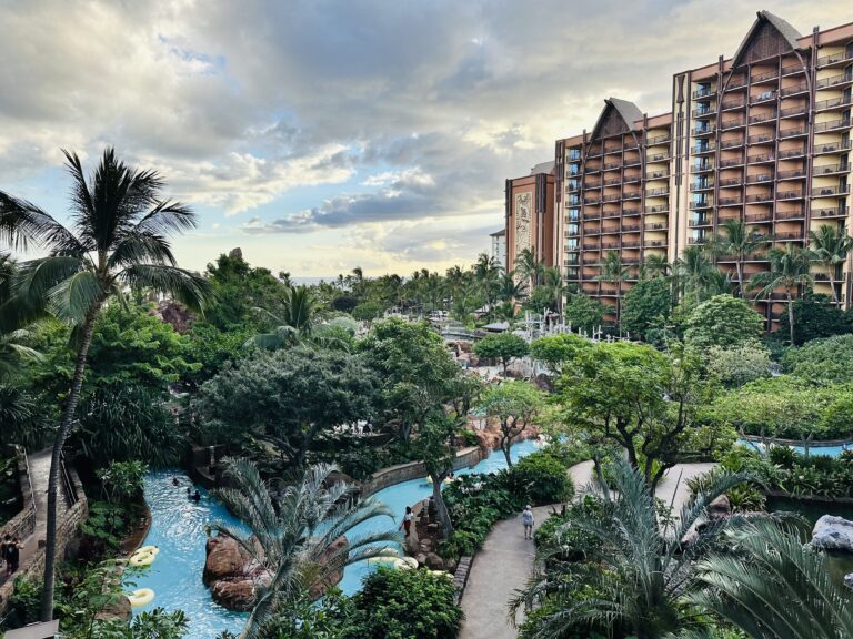 a water park with trees and buildings