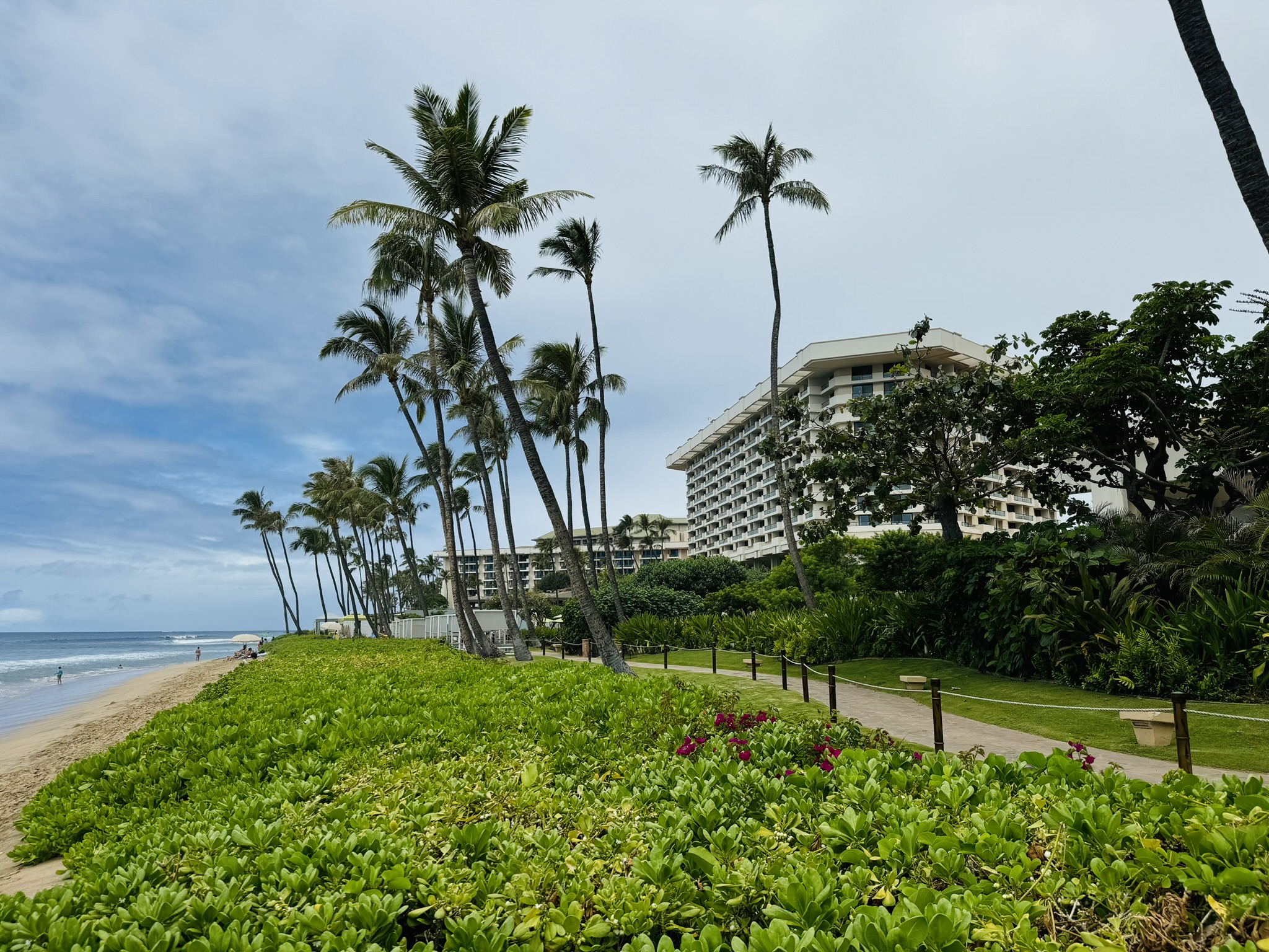 a path with palm trees and a building in the background